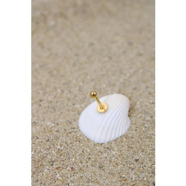 Piercing Cerrahi Çelik Piercing Kıkırdak Tragus Conch Helix Gold Renk Top Çap 2,50 mm