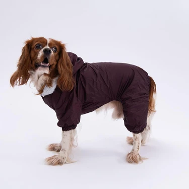 Pettrend Kahverengi Kürklü Tulum Yağmurluk Küçük Irk Yağmurluk Köpek Kıyafeti Köpek