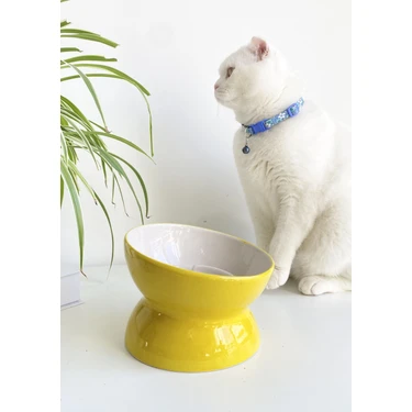Seramik Yavaş Yeme Kedi Mama