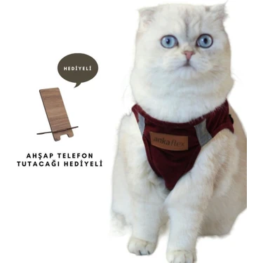 Ankaflex Kedi Göğüs Tasması Kedi Gezdirme Tasması Kediler