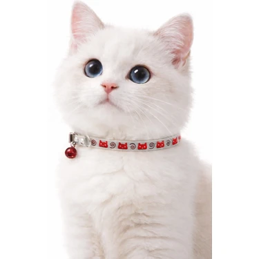 PHENORA Fosforlu Çıngıraklı Kedi Tasması | Gece Parlayan Şık Kedi Kolyesi