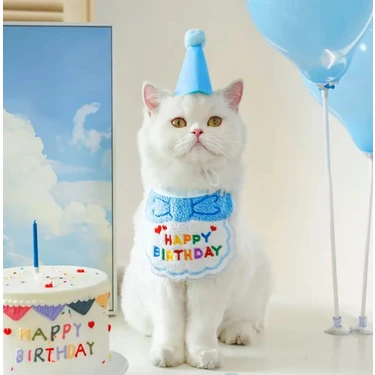 Kedi/köpek Doğum Günü Parti Kıyafeti/aksesuarı (Şapka ve Önlük) Evcil Hayvan Doğum Günü