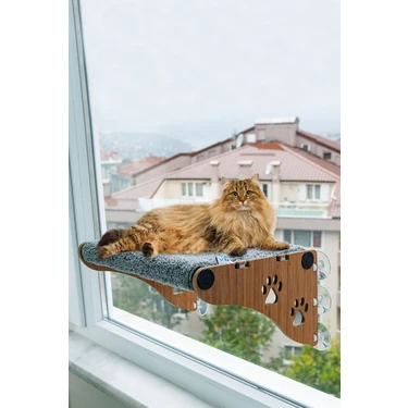 Ata Home Büyük Boy  Yeni Ahşap Cama Yapışan Kedi Yatağı Vantuzlu Cam Yatağı