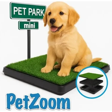 Marsilyan Köpek Tuvalet Eğitim