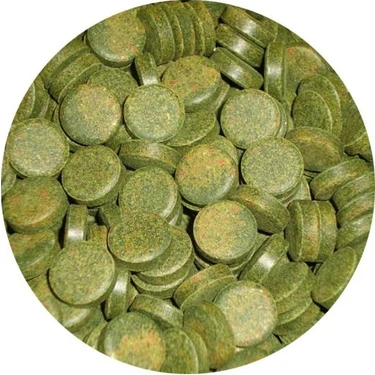 Sera Spirulina Tabs - Kovadan Bölme 50