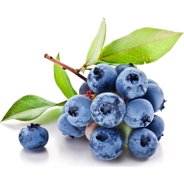 Tohumcumm 20 Adet Tohum Yaban Mersini Tohumu Blueberry
