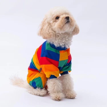 Ruby Gökkuşağı Penye Tulum Kedi Köpek Tulumu Kedi Köpek Kıyafeti Köpek